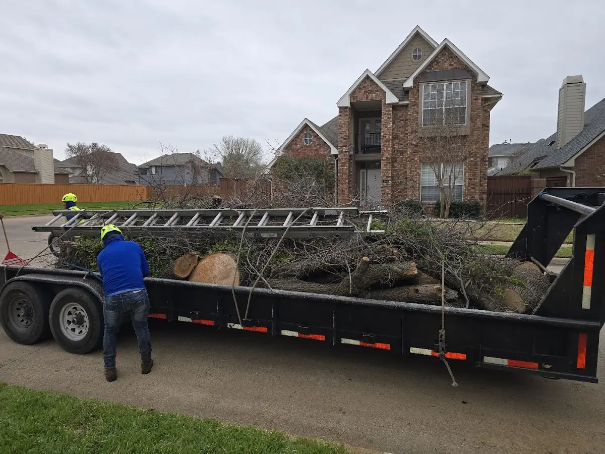 Expert Lot Clearing with proper safety equipment in Calabasas